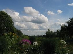 nature sky summer field clouds