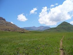 Landscape Picture of nature in south africa