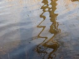 Mirroring in the lake