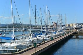 sailboats are moored at the pier in the port of the ocean