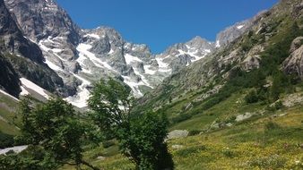 green valley in the Alps