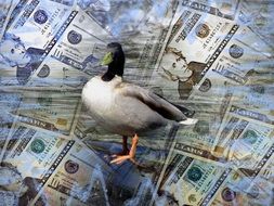 money and duck poster drawing