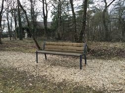 bench in the Park among the trees without leaves