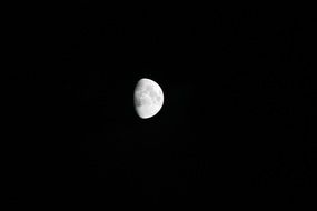 beautiful and amazing moon