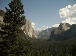 Landscape of the beautiful and colorful nature in Yosemite National park