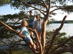 two young girls and boy on wide pine tree at lake