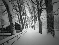 snowy street at counryside, switzerland