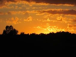 glow of yellow sunset over dark trees