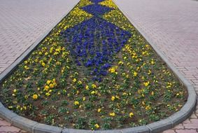 flower bed with purple and yellow flowers