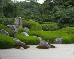 stones, plants and sand in zen garden, japan