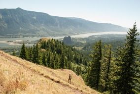 panorama of columbia river gorge in usa, washington, oregon