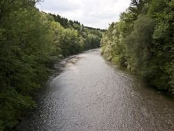 forest on both sides of ammer river, germany, peißenberg