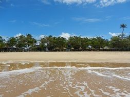 sandy beach in Brazil