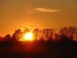 sunset nature afterglow