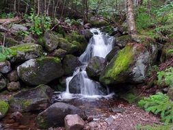 landscape of beautiful nature of a waterfall in forest