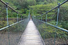 Suspended wooden bridge in the park