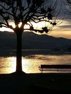 awesome evening landscape with tree and bench at water