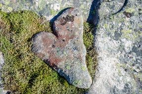 stone in the form of a heart on green moss in the sun close-up