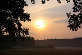 sun in the foggy morning