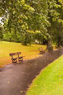 Benches near the path among the beautiful and colorful plants in autumn