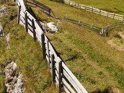 wooden fence on nature