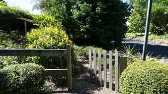 wooden old fence in a green garden