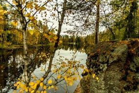 finnish lake in the autumn forest