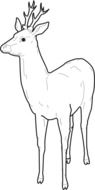 deer forest drawing
