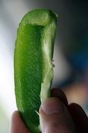 green pepper slice