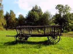 wooden cart on the farm field