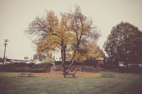 empty autumn park