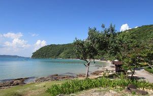 tropical vacation on the beach of the ocean