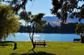 idyllic landscape of a lake in summer