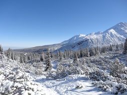 landscape of winter in the mountains in Poland