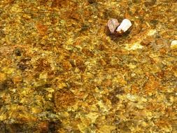 small stones under calm water