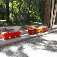 apples and tomatoes on the windowsill
