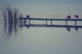 tranquil lake view
