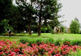 nature in the botanical garden