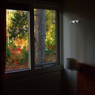 autumn garden view from room window