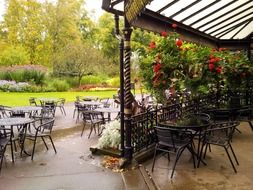 cozy cafe in the green garden