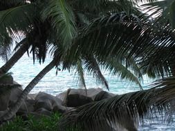 exotic beach in seychelles