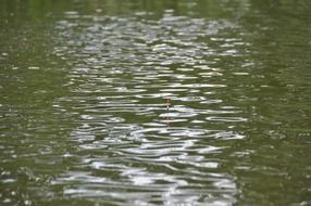 lake water with waves
