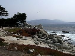 rocky ocean shore in California