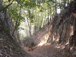 gorge near the city of sandomierz