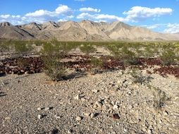 rusty cans in the desert