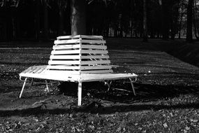 park bench in black and white