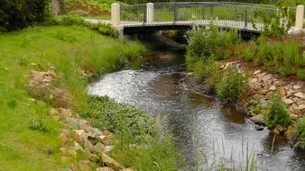 wonderful park bridge