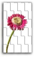 red gerbera as puzzles