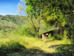 scenic mountain view in california