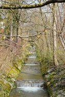 gradually flowing creek in spring